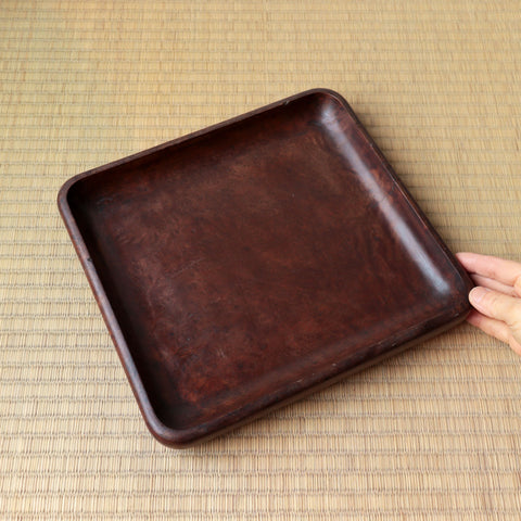 楠小盆【Camphorwood small tray】[s1519]