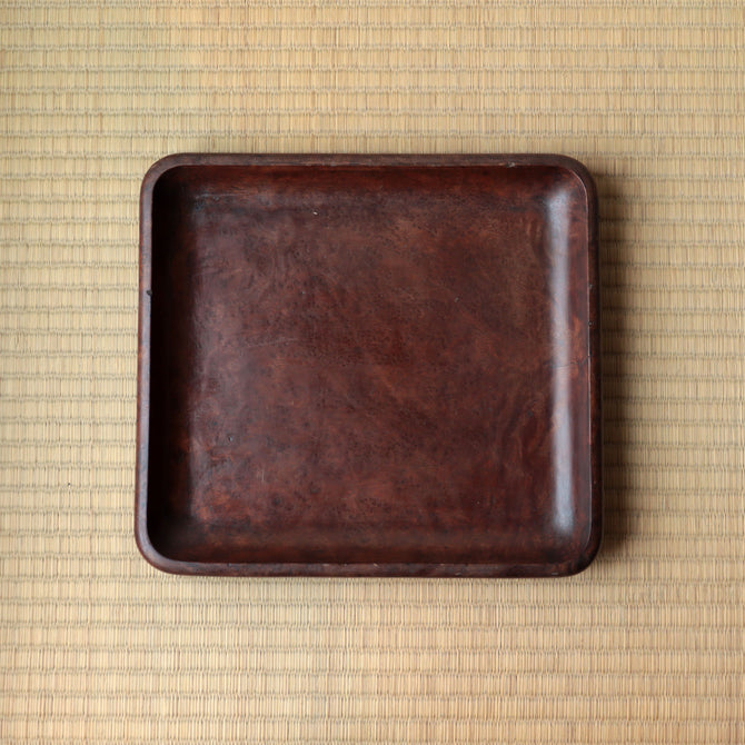 楠小盆【Camphorwood small tray】[s1519]
