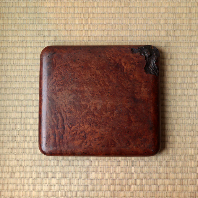 楠小盆【Camphorwood small tray】[s1519]