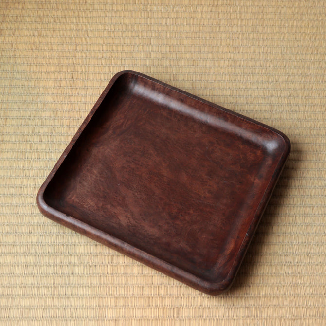 楠小盆【Camphorwood small tray】[s1519]