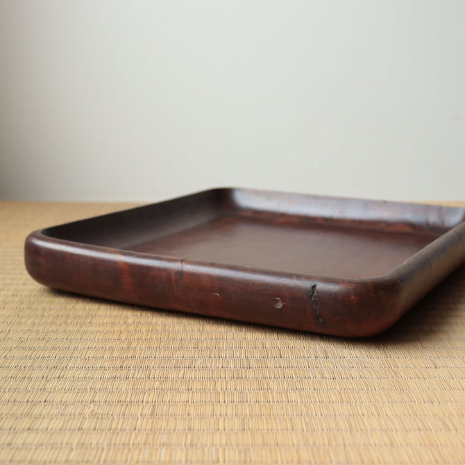 楠小盆【Camphorwood small tray】[s1519]