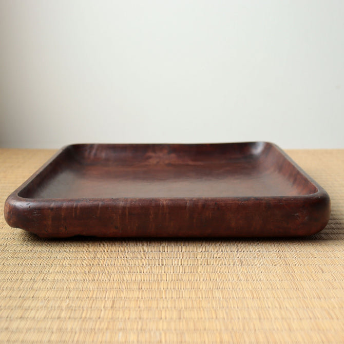 楠小盆【Camphorwood small tray】[s1519]