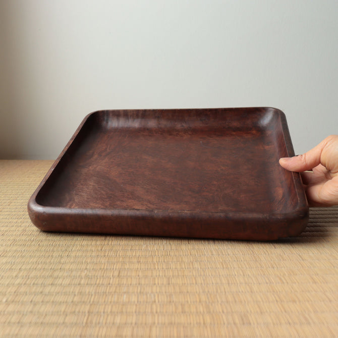 楠小盆【Camphorwood small tray】[s1519]