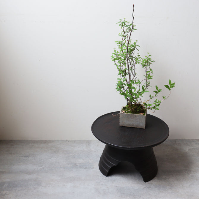 朝鮮　円盤　膳【Korean small table 】[f0299]