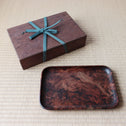 松小盆【Pine small tray】[s1524]