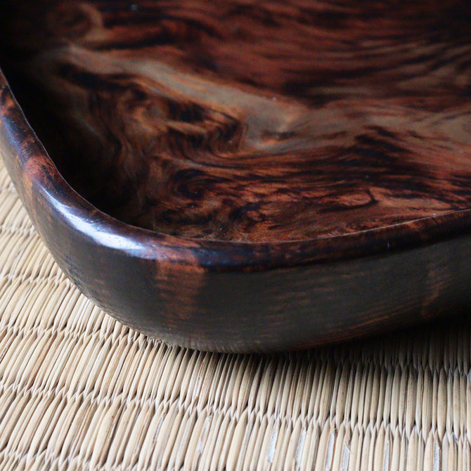 松小盆【Pine small tray】[s1524]