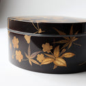 州浜形桜花紅葉図蒔絵箱[k0569]【Lacuerd small box design of cherry blossoms and maple leaves 】