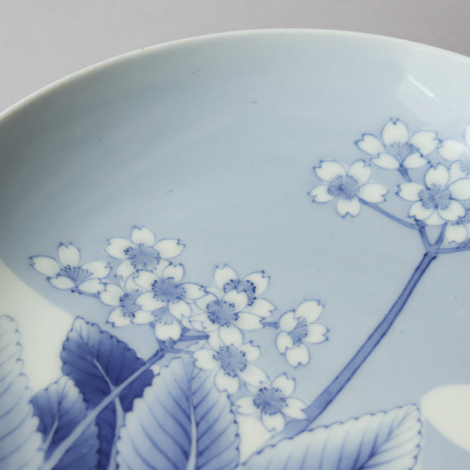 鍋島桜花図七寸皿　【Old Nabeshima plate with cherry blossom 】[p0351]