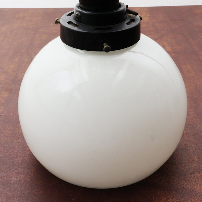 電笠（丸）[s1510]