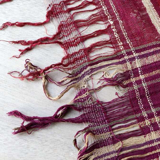 パトラ（赤紫）【Patora】[TX153]