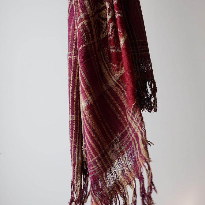 パトラ（赤紫）【Patora】[TX153]