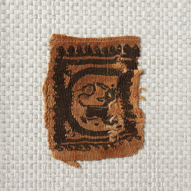 コプト裂【Copt】 [CP6]