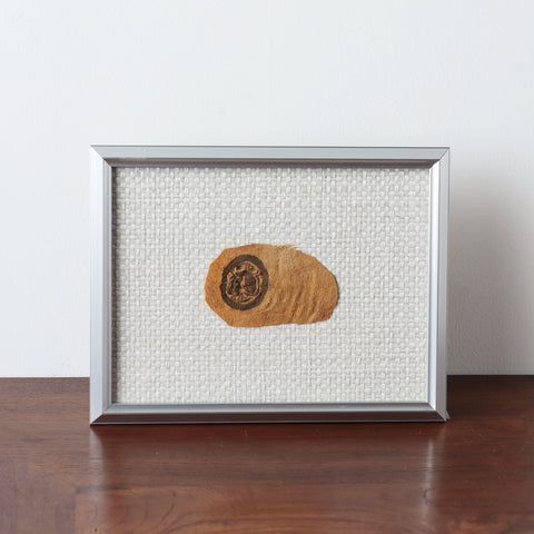 コプト裂【Copt】 [CP10]