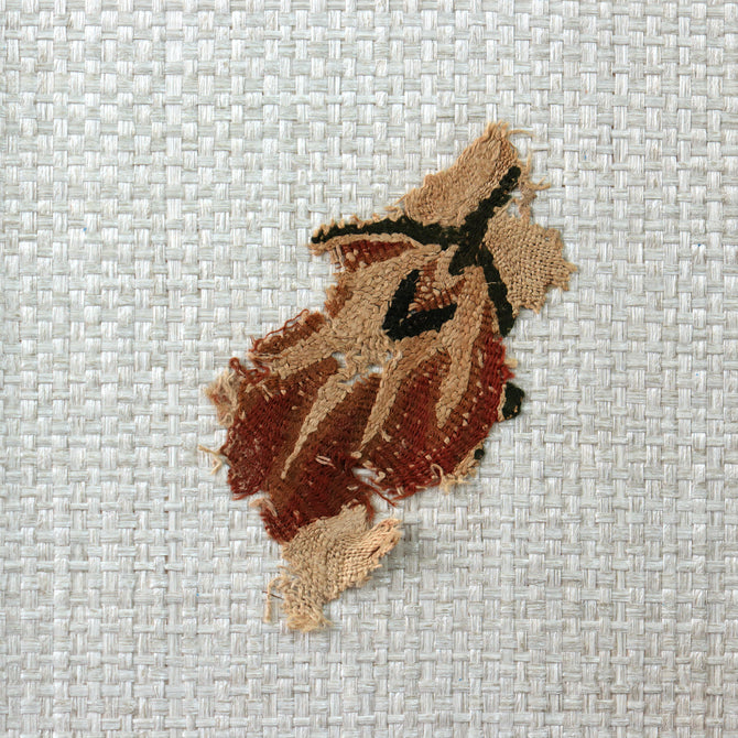 コプト裂【Copt】 [CP20]