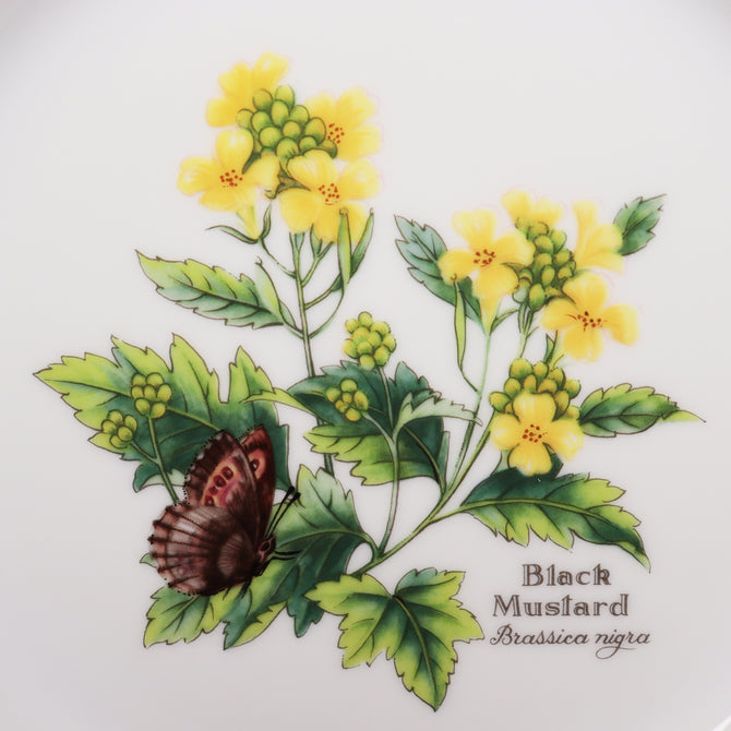 ロイヤルウースター　Worcester Herbs ブルー＆グリーン2枚セット　【 Royal Worcester -Worcester Herbs plates set-blue and green 】[rw0001]